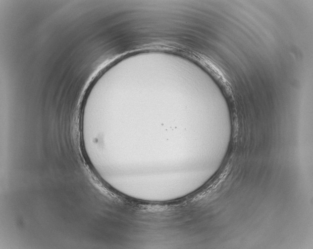 X0000115550800200912041031