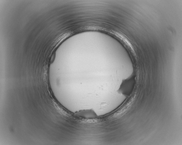 X0000115550801200912041031