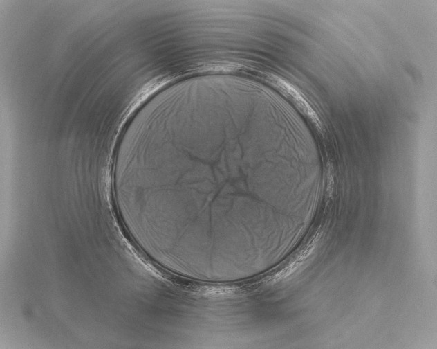 X0000115550802200912041031