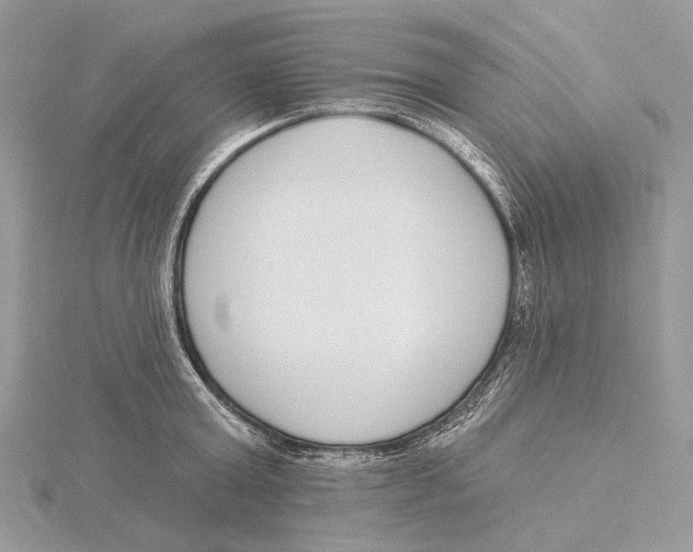 X0000115550803200912041031