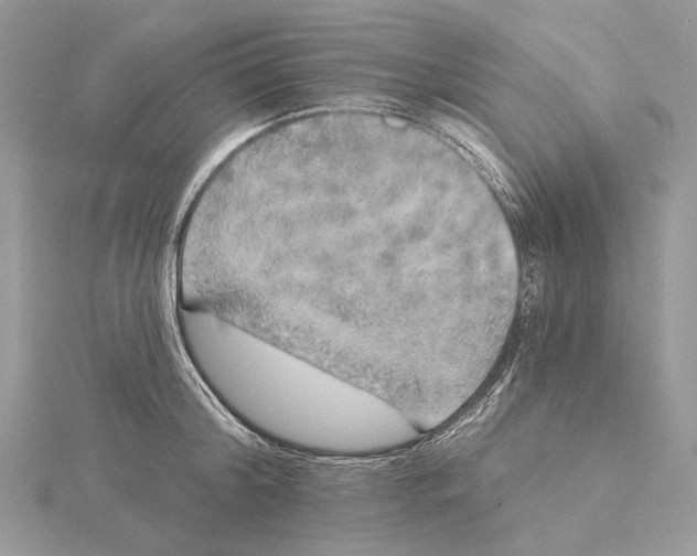 X0000115550804200912041031