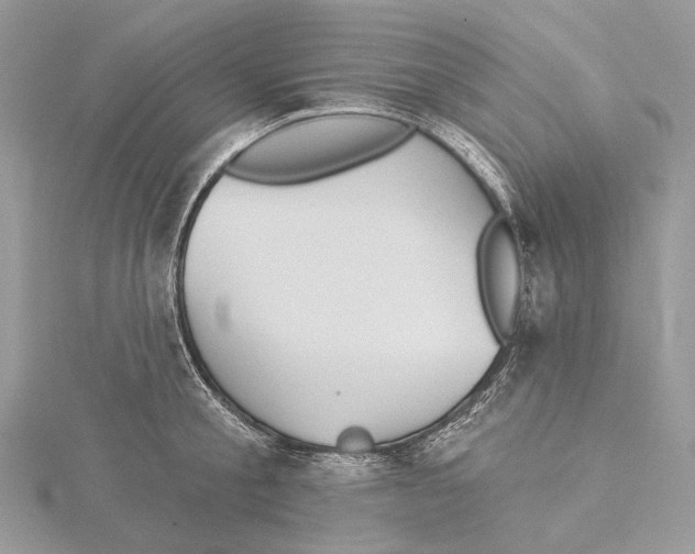 X0000115550805200912041031