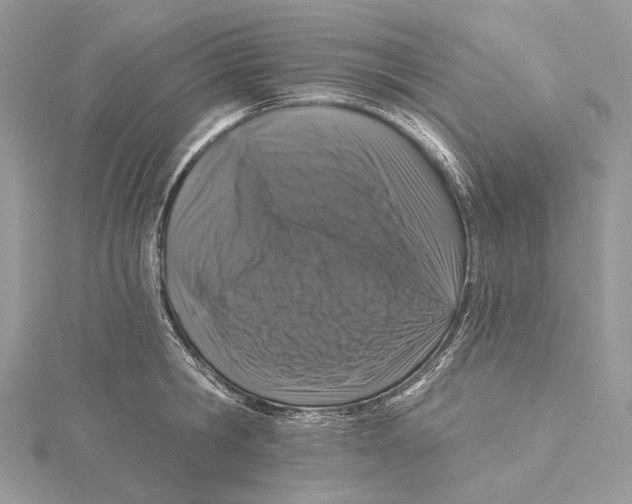 X0000115550806200912041031