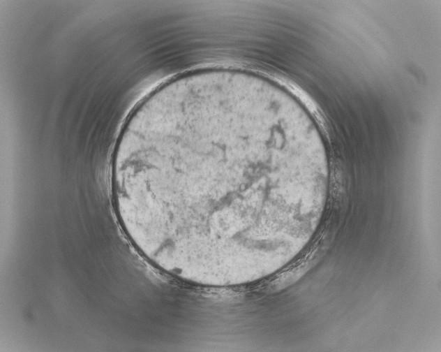 X0000115550807200912041031