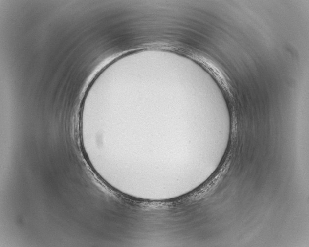 X0000115550808200912041031