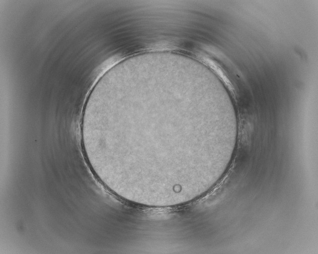 X0000115550810200912041031