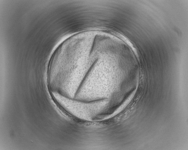 X0000115550811200912041031