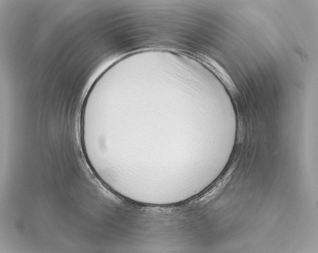 X0000115550812200912041031