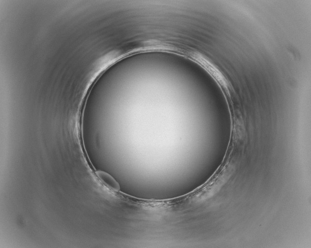 X0000115550813200912041031