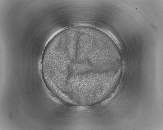 X0000115550814200912041031