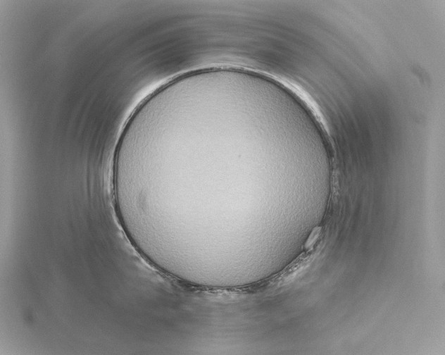 X0000115550815200912041031