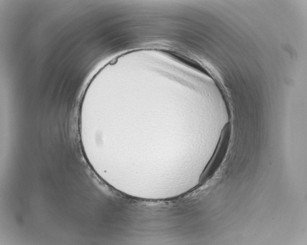 X0000115550816200912041031