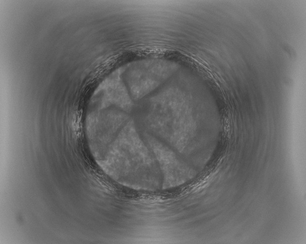 X0000115550818200912041030