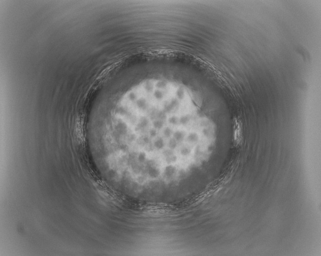 X0000115550819200912041030