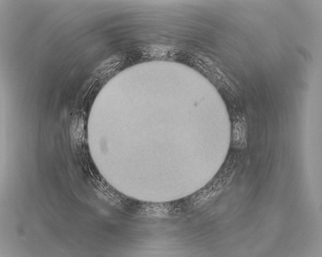 X0000115550820200912041030