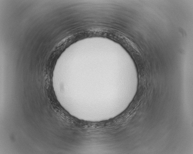 X0000115550821200912041030