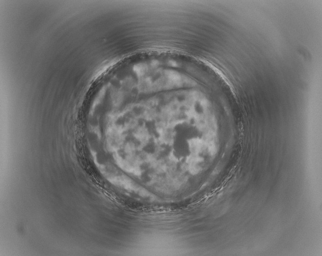 X0000115550823200912041030