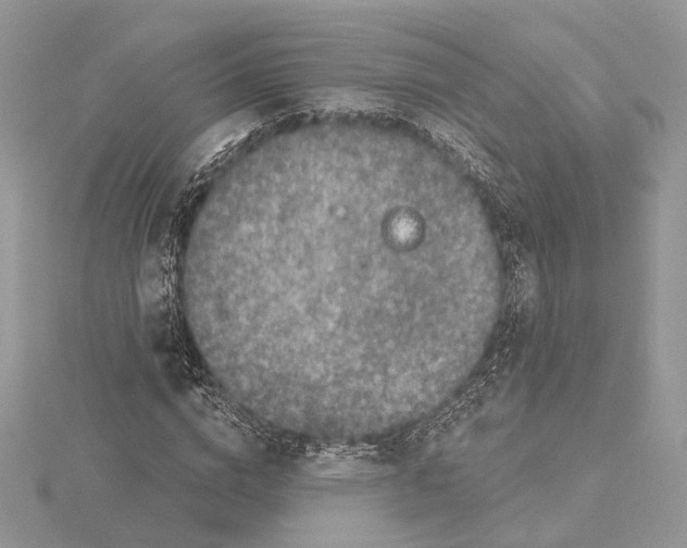 X0000115550824200912041030