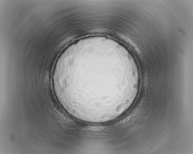 X0000115550825200912041030