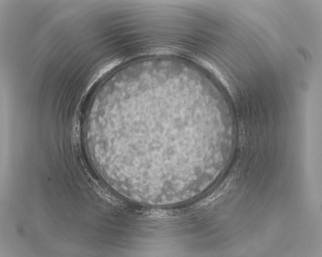 X0000115550827200912041030