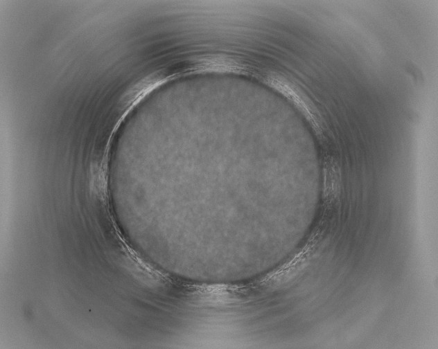 X0000115550828200912041030