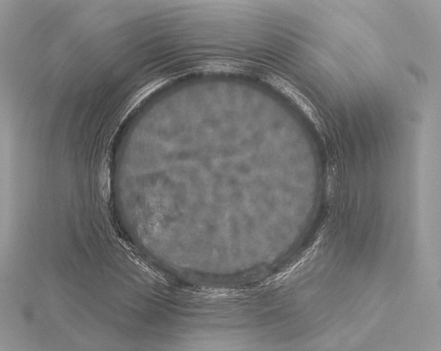 X0000115550829200912041030