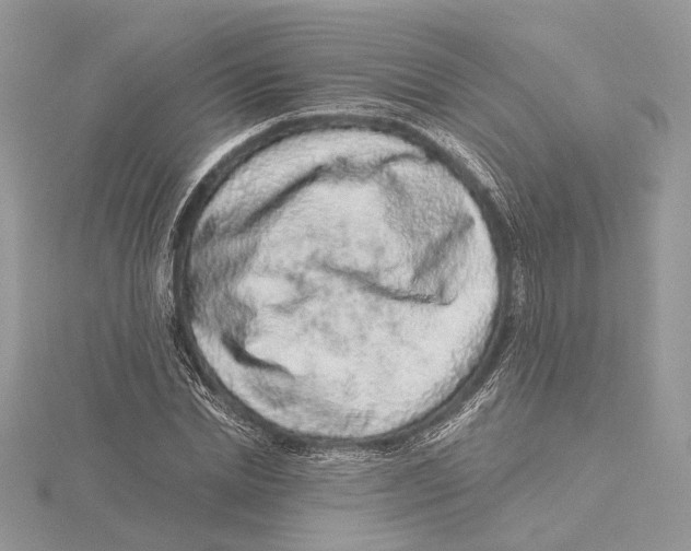 X0000115550830200912041030