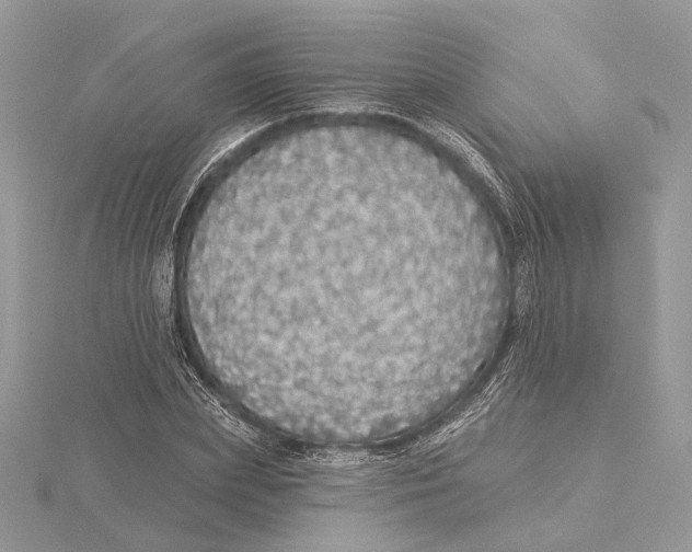 X0000115550831200912041030