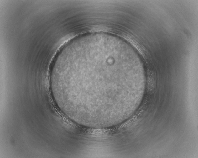 X0000115550832200912041030