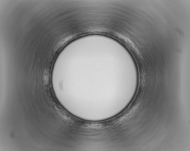 X0000115550833200912041030