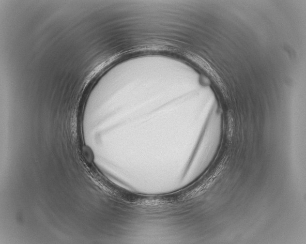 X0000115550834200912041030