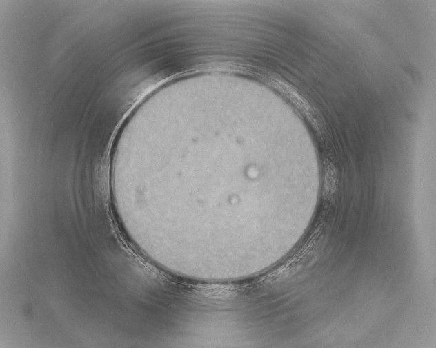 X0000115550836200912041030