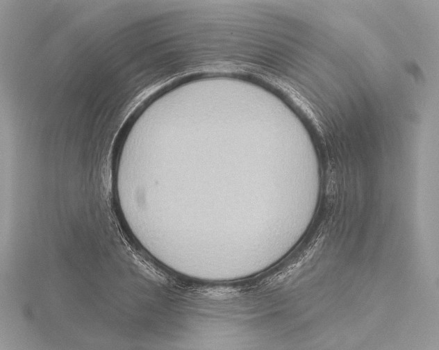 X0000115550837200912041030