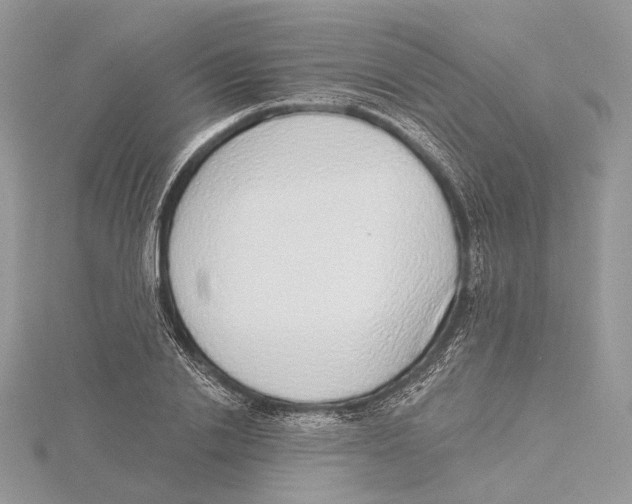 X0000115550838200912041030