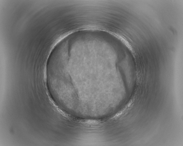 X0000115550839200912041030