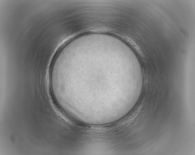 X0000115550840200912041030