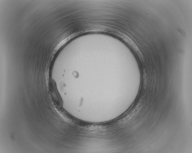 X0000115550842200912041030