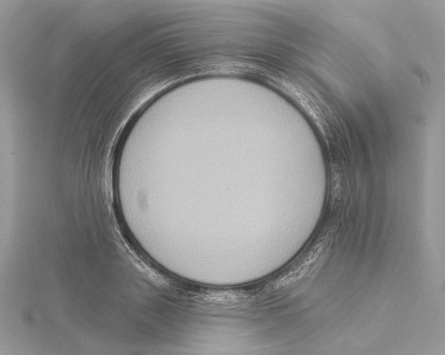 X0000115550843200912041030