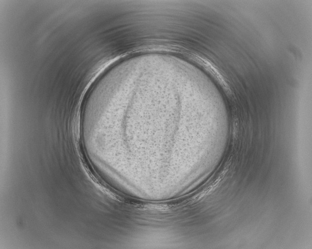 X0000115550844200912041030