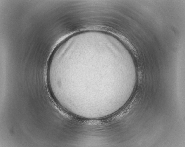 X0000115550846200912041030