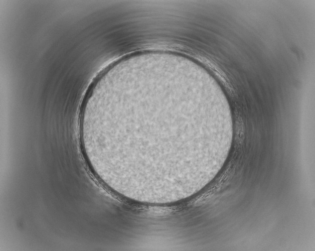 X0000115550848200912041030