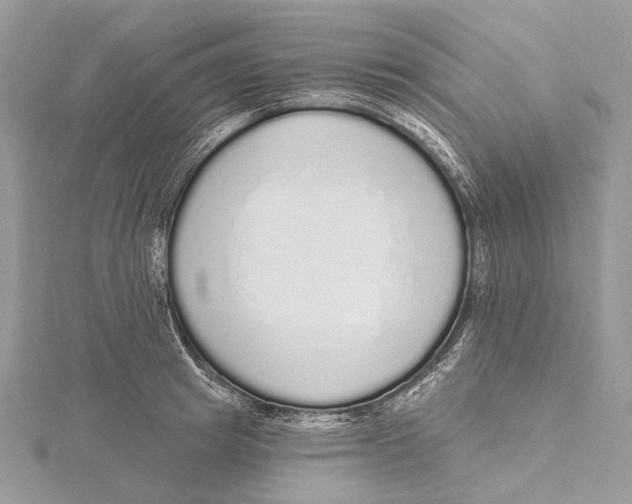 X0000115550849200912041030