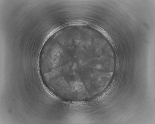 X0000115550850200912041030