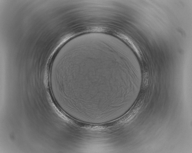 X0000115550851200912041030