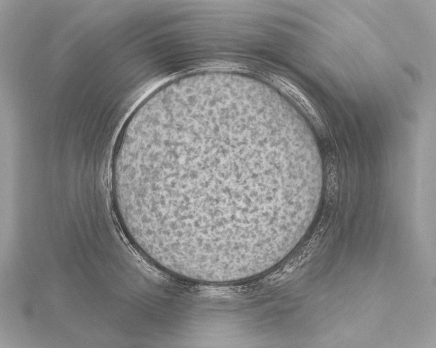 X0000115550852200912041030