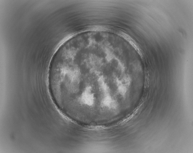 X0000115550853200912041030