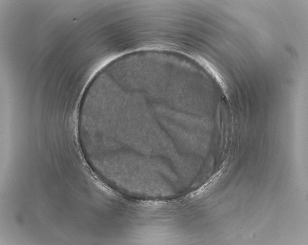 X0000115550854200912041030