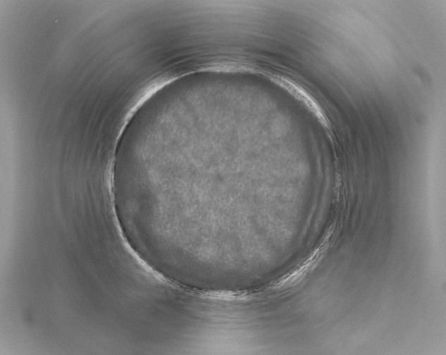 X0000115550855200912041030