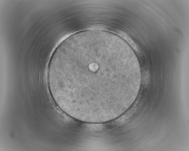 X0000115550856200912041030