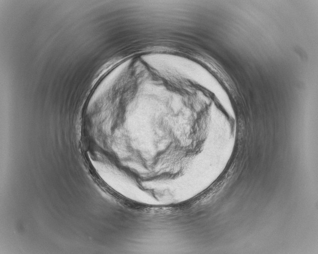 X0000115550858200912041030